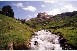 Rivire et prairie