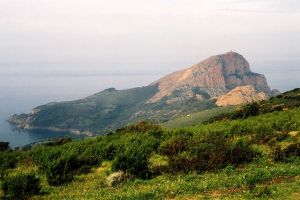 Capo Rosso Miniature