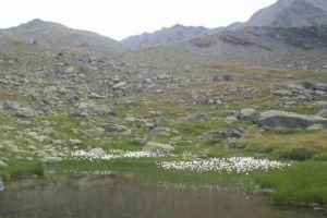 VERS LE LAC DES MUANDES