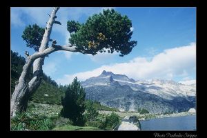 Nouvielle et Ramoun depuis le lac d'Aumar