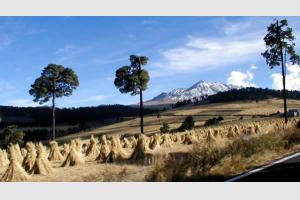 Volcan Nevado de Toluca