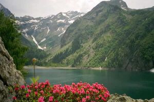 Lac du Lauvitel Miniature