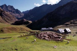 Centre pastoral d'Anou.