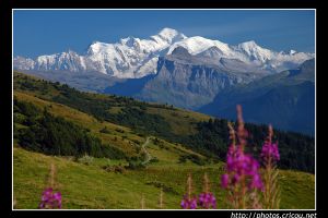 Mont blanc vu du col de Joux Plane