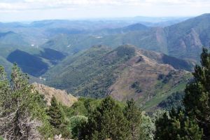 Monte vers le sommet (ct sud est)