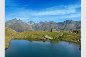 Refuge de pombie