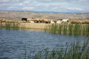 Il y a aussi de l'eau dans le dsert des Bardenas
