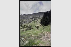 En montant vers le Signal de Bassia