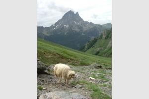 Pics d'Aule et d'Aulre