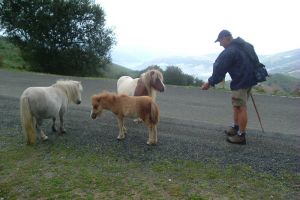 Gorramakil Gorramendi