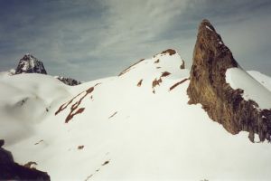 Pne Mieytadre