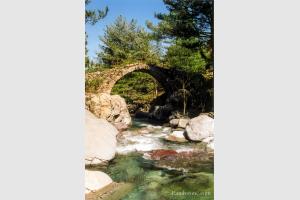 Pont Gnois sur la rivire de Tartagine en Corse
