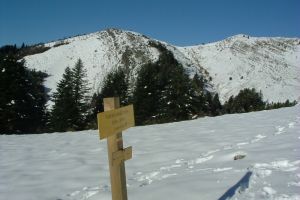 Pic Barsaut Miniature