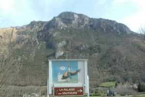 Pne de Bon