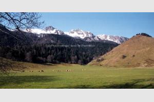 Au plateau de la Tcoure