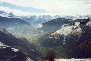 Pne de Bon