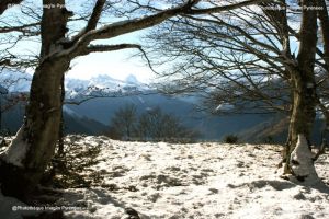 Ossau depuis Pne de Bon