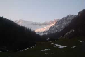 Crte de Coos