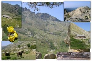 Refuge - Bergerie - d'Asinau et sommet proche : ( Incudine )