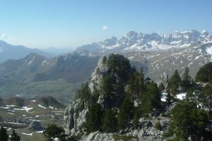 O Forato