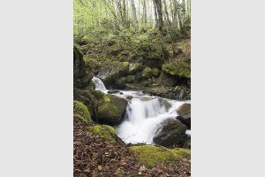 Cascade au gave de Cestrde