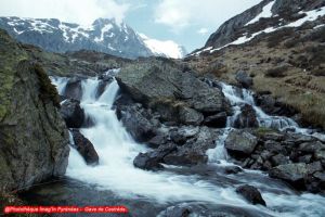 Photo du gave de Cestrde