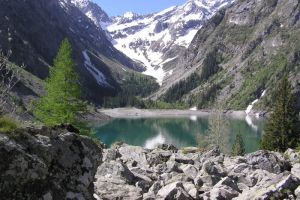 Lac Lauvitel
