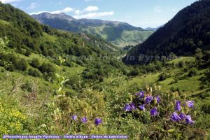 Vallon de Labrnre