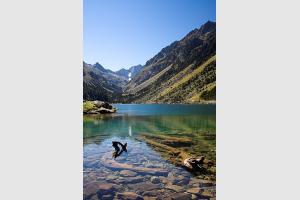 Lac de Gaube et son eau transparente