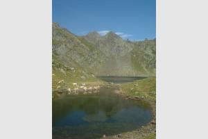 Lac Bersau et son laquet