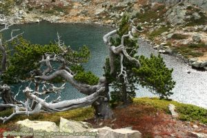Lac d'Arriel