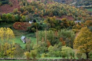 Automne en valle d'Aspe