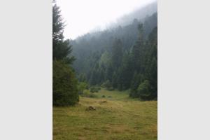 lac de consatre