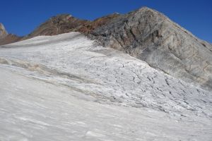 La Pique Longue