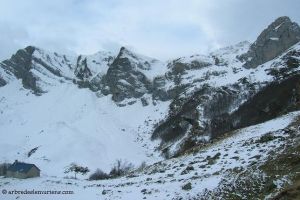 Cabane de Besse