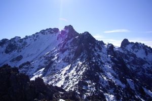 Punta Radiche Miniature