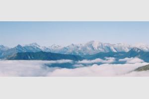 La vue en t