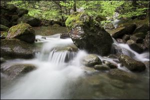 Cascade en valle de Cauterets