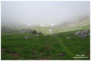 Vallon d'Anaye au printemps