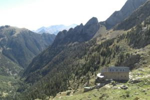 Pico Posets