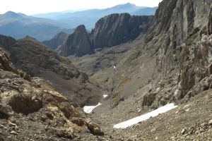 Pico Posets