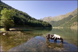 Lac d'Estaing