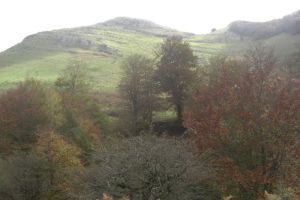 Pic Etchecortia