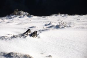 non loin de la source de Bastayau