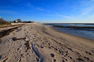 Balade sur le bord du Bassin d'Arcachon