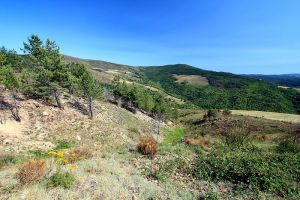 Superbe vue depuis le col du Sapet dans les Cevennes