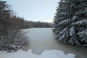 Etendue gele sur le sentier botanique de Laguiole
