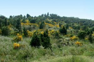 Randonne sur le Tour de Madeloc