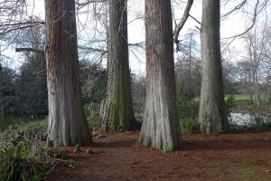 Balade dans le parc de Bourran