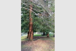 Balade dans le parc de Bourran 8